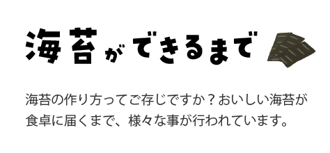 海苔ができるまで