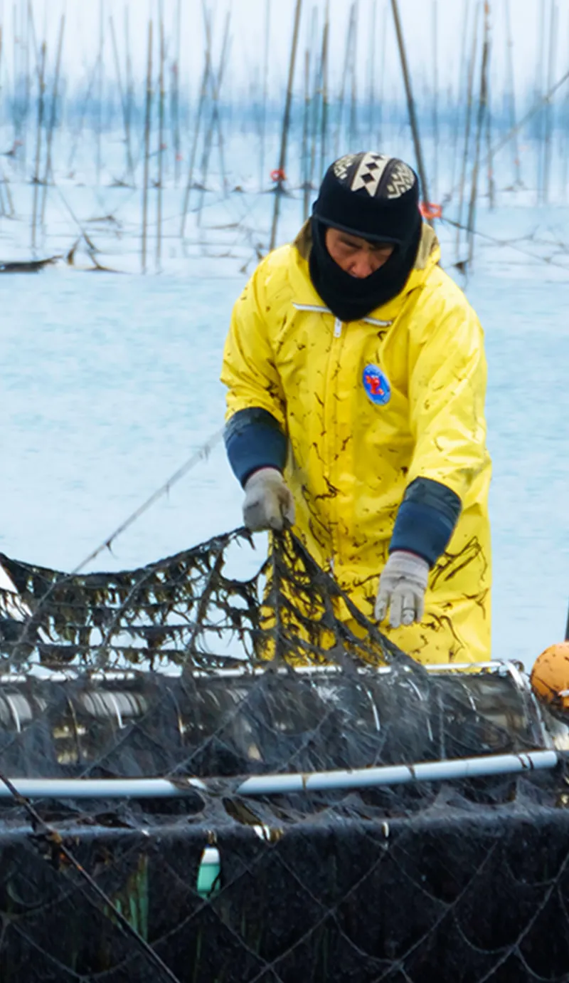 海苔の可能性を最大化し世界の人々へ届ける