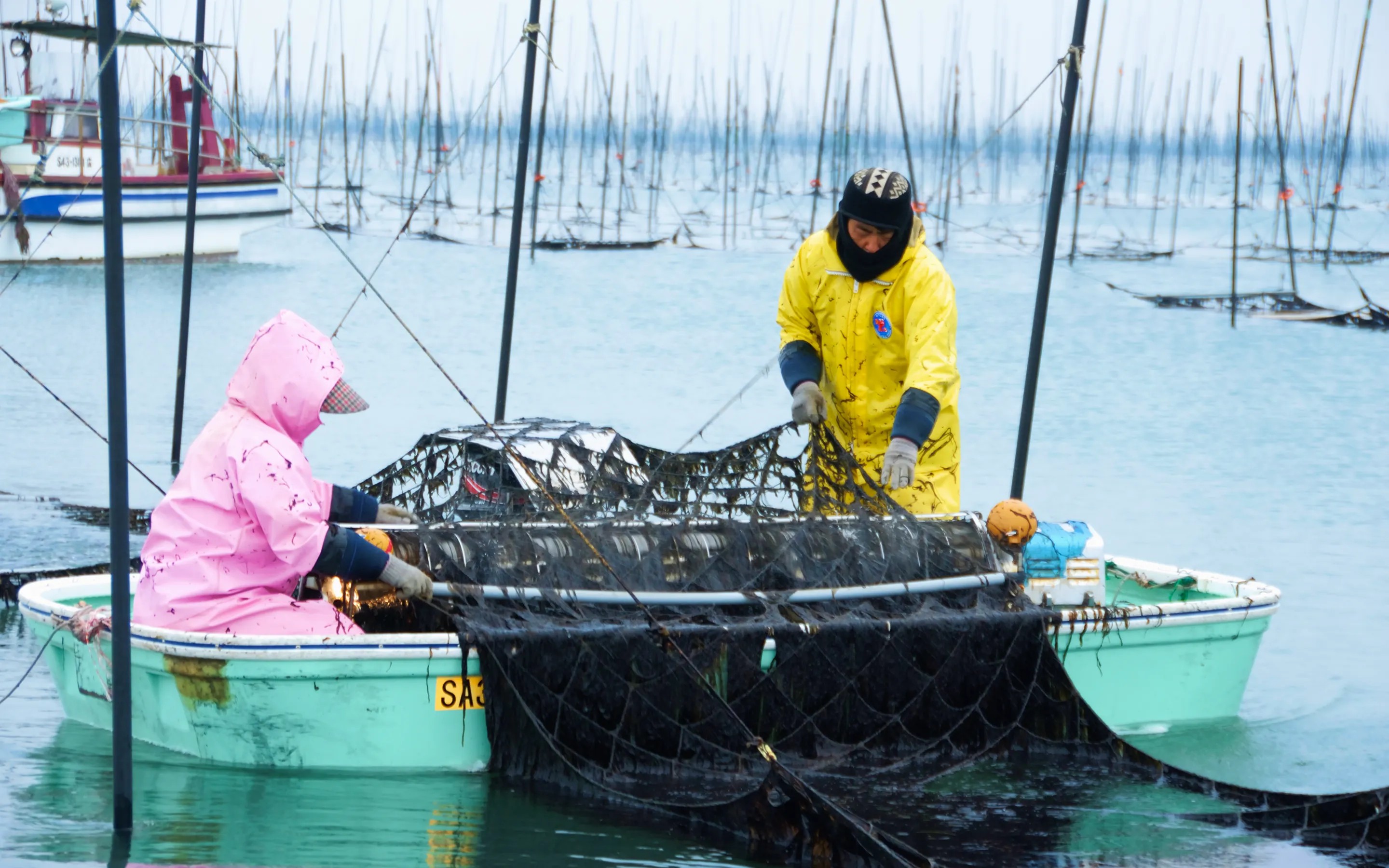 海苔の可能性を最大化し世界の人々へ届ける