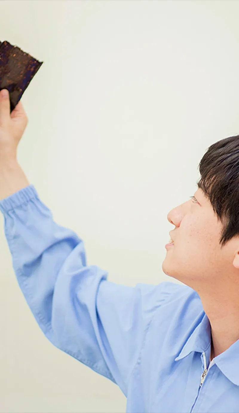 海苔の可能性を最大化し世界の人々へ届ける